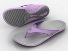 Women's Dove Grey/Purple